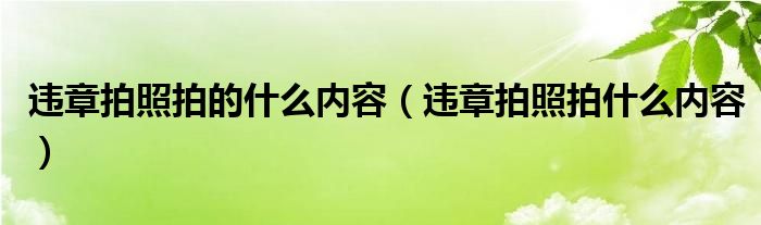 违章拍照拍的什么内容（违章拍照拍什么内容）