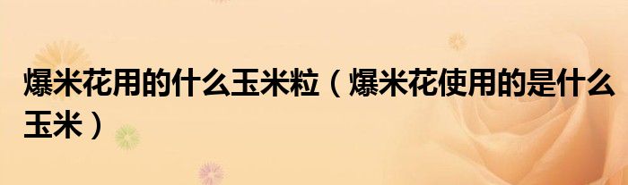 爆米花用的什么玉米粒（爆米花使用的是什么玉米）