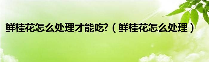 鲜桂花怎么处理才能吃?（鲜桂花怎么处理）