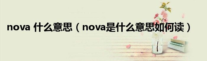 nova 什么意思（nova是什么意思如何读）