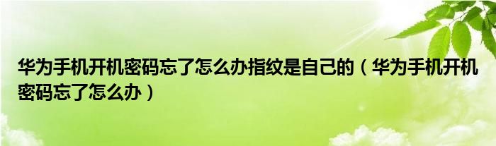 华为手机开机密码忘了怎么办指纹是自己的（华为手机开机密码忘了怎么办）