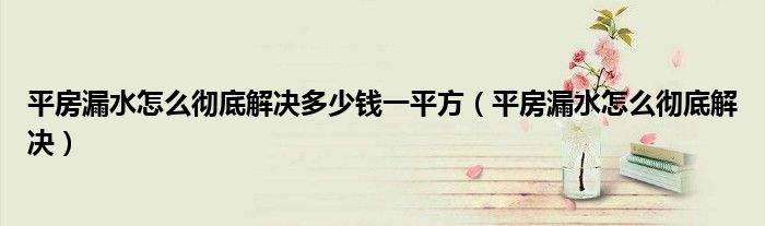 平房漏水怎么彻底解决多少钱一平方（平房漏水怎么彻底解决）