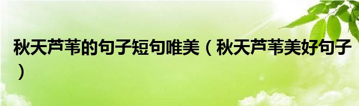 秋天芦苇的句子短句唯美（秋天芦苇美好句子）