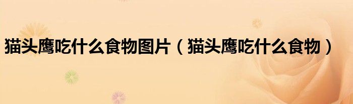 猫头鹰吃什么食物图片（猫头鹰吃什么食物）