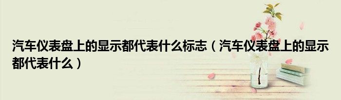 汽车仪表盘上的显示都代表什么标志（汽车仪表盘上的显示都代表什么）