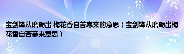 宝剑锋从磨砺出 梅花香自苦寒来的意思（宝剑锋从磨砺出梅花香自苦寒来意思）