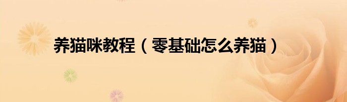 养猫咪教程（零基础怎么养猫）
