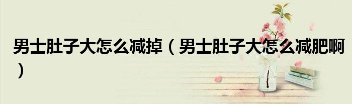 男士肚子大怎么减掉（男士肚子大怎么减肥啊）