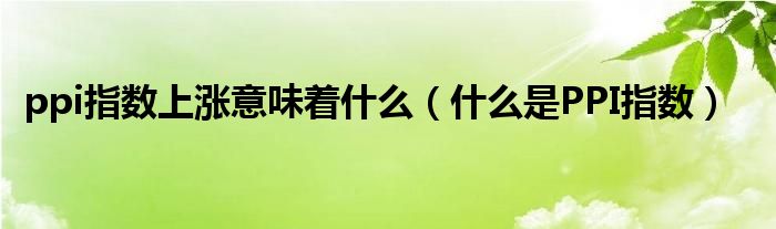 ppi指数上涨意味着什么（什么是PPI指数）