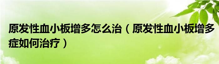 原发性血小板增多怎么治（原发性血小板增多症如何治疗）