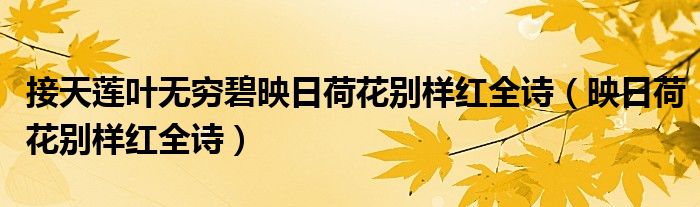 接天莲叶无穷碧映日荷花别样红全诗（映日荷花别样红全诗）
