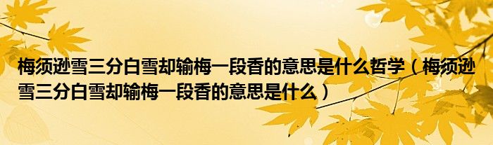 梅须逊雪三分白雪却输梅一段香的意思是什么哲学（梅须逊雪三分白雪却输梅一段香的意思是什么）