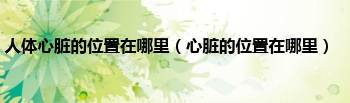 人体心脏的位置在哪里（心脏的位置在哪里）