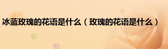 冰蓝玫瑰的花语是什么（玫瑰的花语是什么）