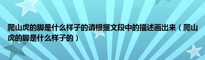 爬山虎的脚是什么样子的请根据文段中的描述画出来（爬山虎的脚是什么样子的）
