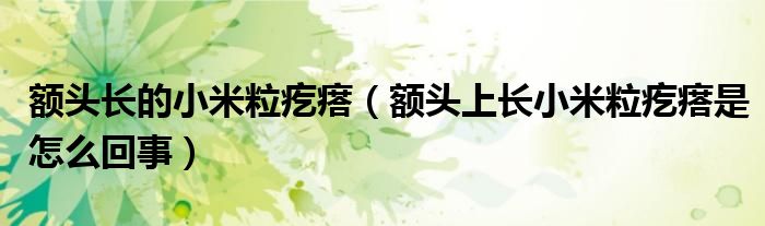 额头长的小米粒疙瘩（额头上长小米粒疙瘩是怎么回事）