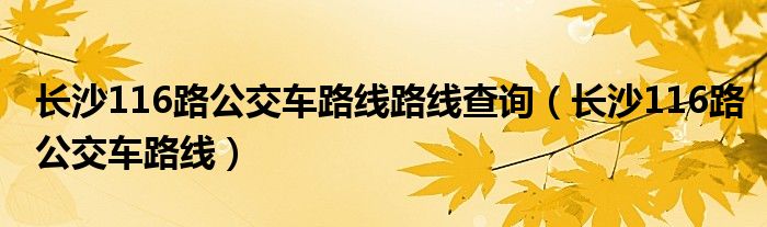 长沙116路公交车路线路线查询（长沙116路公交车路线）