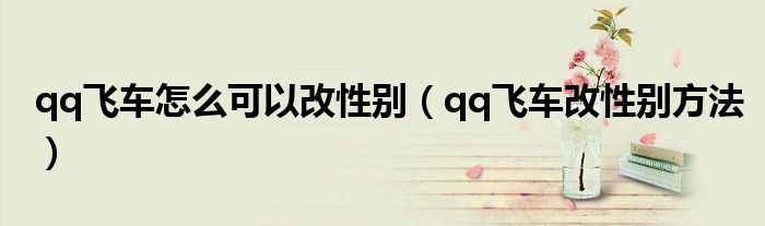 qq飞车怎么可以改性别（qq飞车改性别方法）