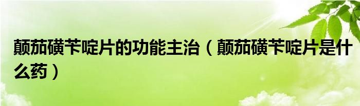 颠茄磺苄啶片的功能主治（颠茄磺苄啶片是什么药）