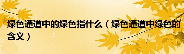 绿色通道中的绿色指什么（绿色通道中绿色的含义）