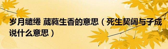 岁月缱绻 葳蕤生香的意思（死生契阔与子成说什么意思）