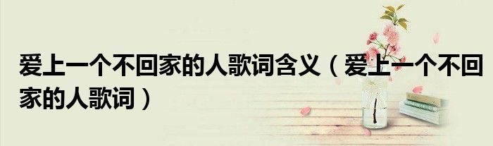 爱上一个不回家的人歌词含义（爱上一个不回家的人歌词）