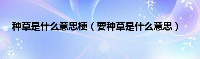 种草是什么意思梗（要种草是什么意思）