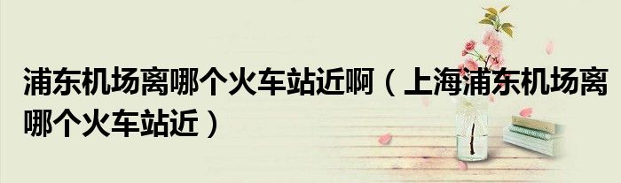 浦东机场离哪个火车站近啊（上海浦东机场离哪个火车站近）