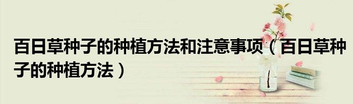 百日草种子的种植方法和注意事项（百日草种子的种植方法）