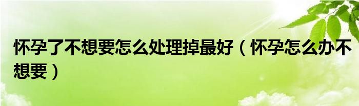 怀孕了不想要怎么处理掉最好（怀孕怎么办不想要）