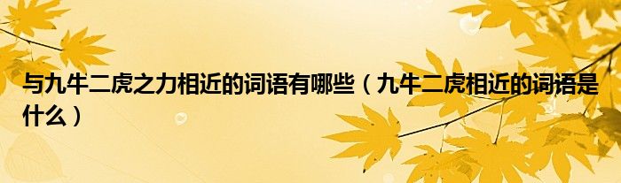 与九牛二虎之力相近的词语有哪些（九牛二虎相近的词语是什么）