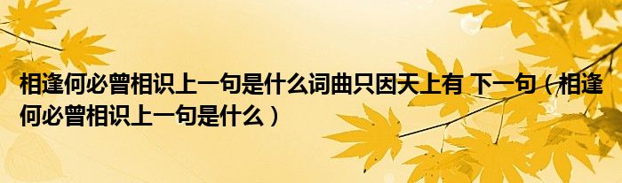 相逢何必曾相识上一句是什么词曲只因天上有 下一句（相逢何必曾相识上一句是什么）