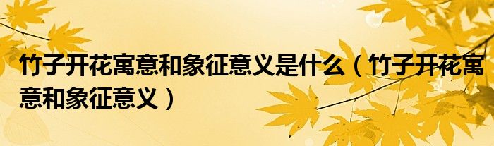 竹子开花寓意和象征意义是什么（竹子开花寓意和象征意义）