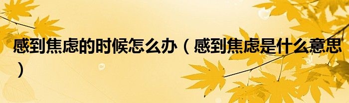 感到焦虑的时候怎么办（感到焦虑是什么意思）