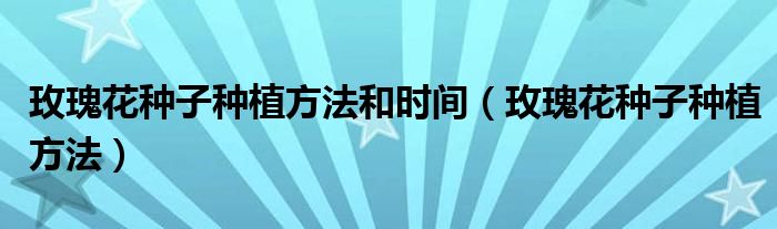 玫瑰花种子种植方法和时间（玫瑰花种子种植方法）
