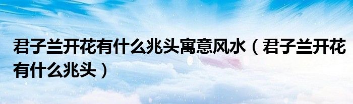 君子兰开花有什么兆头寓意风水（君子兰开花有什么兆头）
