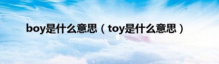 boy是什么意思（toy是什么意思）