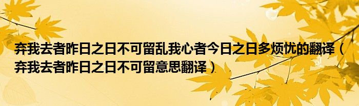 弃我去者昨日之日不可留乱我心者今日之日多烦忧的翻译（弃我去者昨日之日不可留意思翻译）