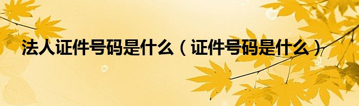 法人证件号码是什么（证件号码是什么）