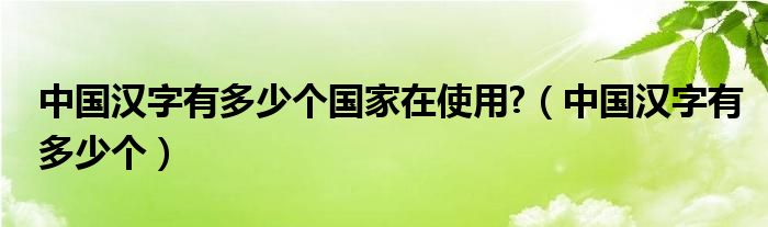 中国汉字有多少个国家在使用?（中国汉字有多少个）