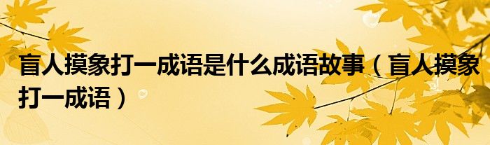 盲人摸象打一成语是什么成语故事（盲人摸象打一成语）