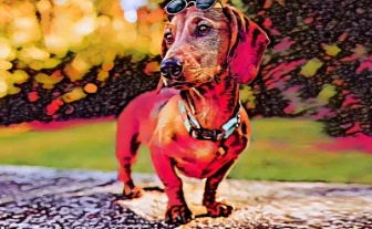 PhotoshopElements2024提供对AdobeAI技术的免订阅访问