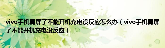 vivo手机黑屏了不能开机充电没反应怎么办（vivo手机黑屏了不能开机充电没反应）
