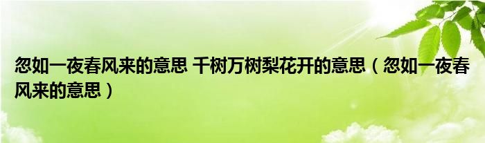 忽如一夜春风来的意思 千树万树梨花开的意思（忽如一夜春风来的意思）