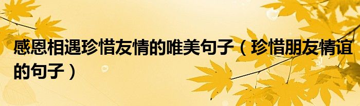 感恩相遇珍惜友情的唯美句子（珍惜朋友情谊的句子）