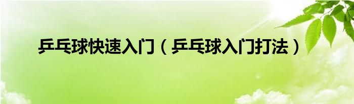 乒乓球快速入门（乒乓球入门打法）