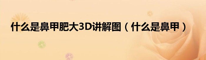 什么是鼻甲肥大3D讲解图（什么是鼻甲）