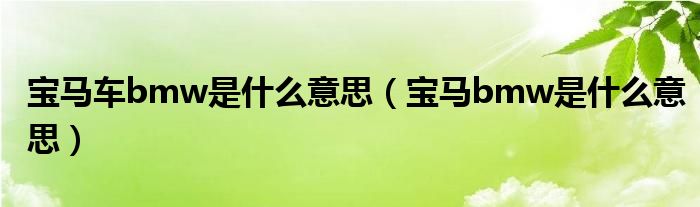 宝马车bmw是什么意思（宝马bmw是什么意思）