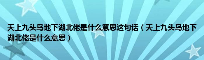 天上九头鸟地下湖北佬是什么意思这句话（天上九头鸟地下湖北佬是什么意思）