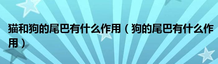 猫和狗的尾巴有什么作用（狗的尾巴有什么作用）
